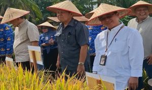 IMG-20251017-WA0022_copy_1200x800