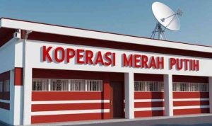 kopmer-68091dc9c925c434bd4e4583